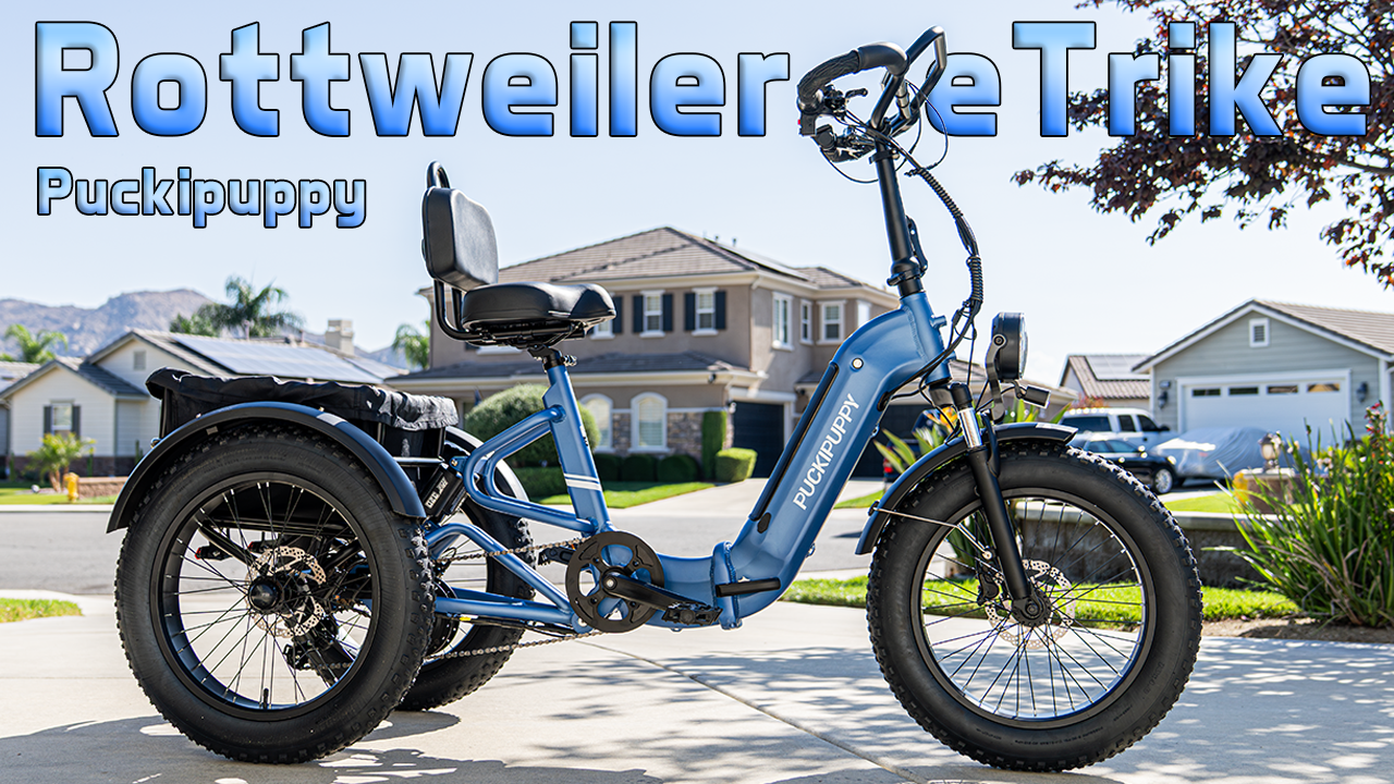 Puckipuppy Rottweiler eTrike