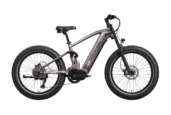 Mokwheel Onyx eBike Brown Gray